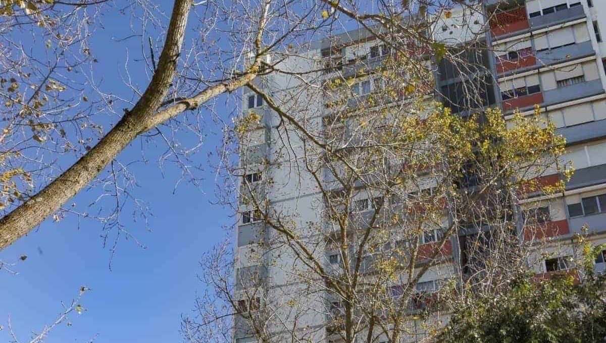 Apartamento T2 nos Olivais_21